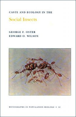 Caste and Ecology in the Social Insects