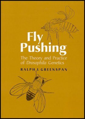 Fly Pushing