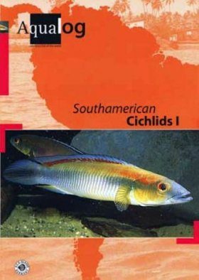 Southamerican Cichlids I