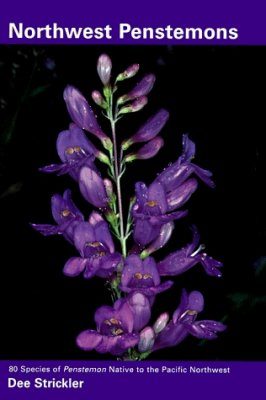Northwest Penstemons