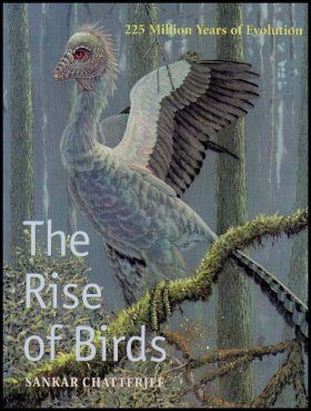 The Rise of Birds