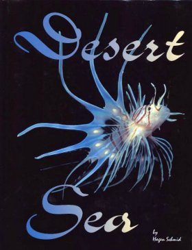 Desert Sea