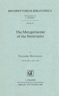The Metzgeriaceae of the Neotropics