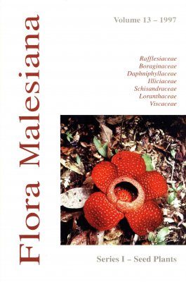 Flora Malesiana, Series 1: Volume 13: Rafflesiaceae, Boraginaceae, Daphniphyllaceae, Illicicacea, Schisandraceae, Loranthaceae, Visaceae