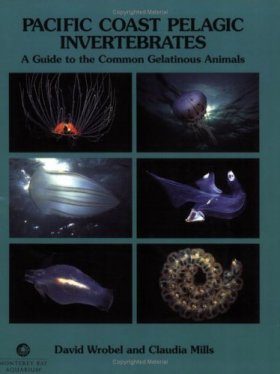 Pacific Coast Pelagic Invertebrates