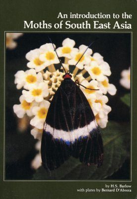 An Introduction to the Moths of South East Asia