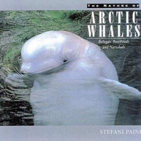 The Nature of Arctic Whales