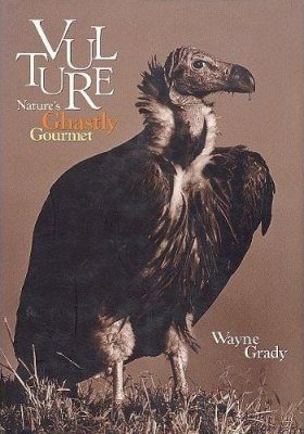 Vulture: Nature's Ghastly Gourmet
