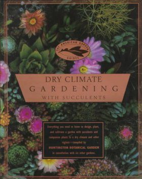 Dry Climate Gardening With Succulents