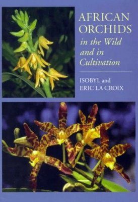 African Orchids in the Wild and in Cultivation