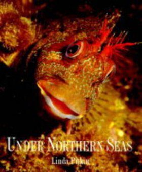 Under Northern Seas