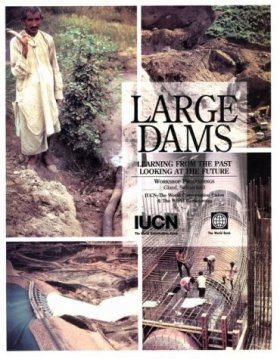 Large Dams: Learning from the Past, Looking at the Future