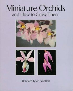 Miniature Orchids and How to Grow them
