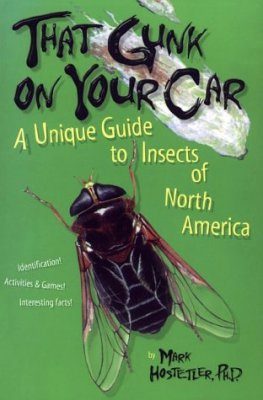 That Gunk on Your Car