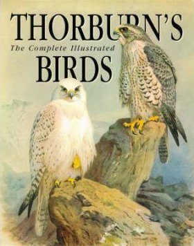 The Complete Illustrated Thorburn's Birds