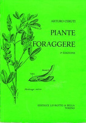 Piante Foraggere