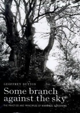 Some Branch Against the Sky