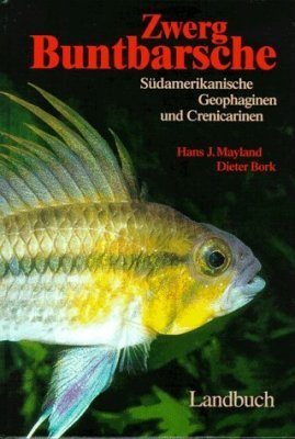 Zwerg Buntbarsche