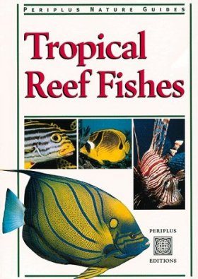 Tropical Reef Fishes