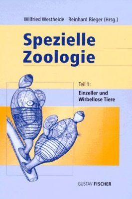 Spezielle Zoologie: Teil 1