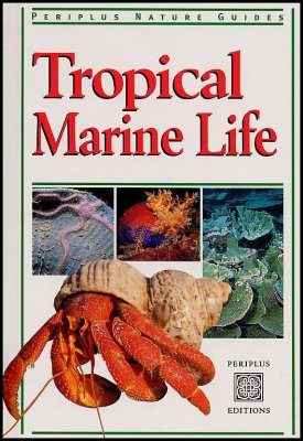 Tropical Marine Life