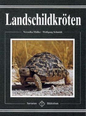 Landschildkröten