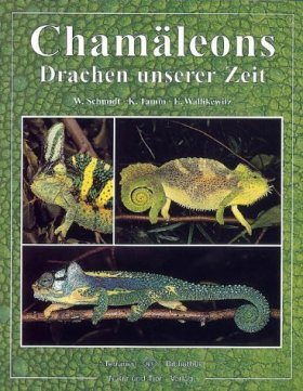 Chamäleons: Drachen Unserer Zeit