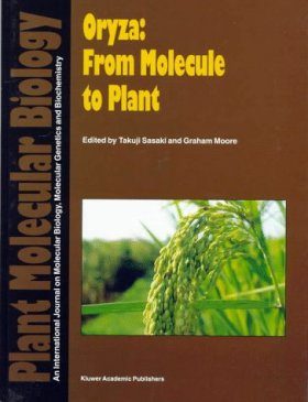 Oryza: From Molecule to Plant