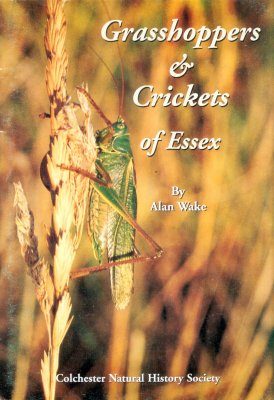 Grasshoppers and Crickets (Orthoptera) of Essex