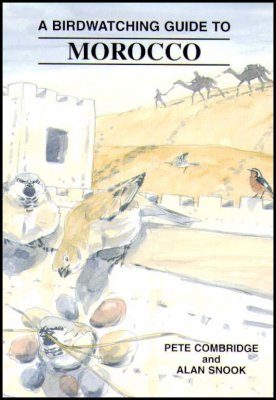 Birdwatching Guide to Morocco