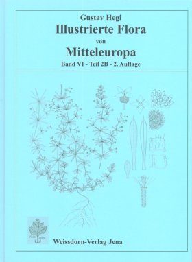 Illustrierte Flora von Mitteleuropa, Band 6, Teil 2B: Spermatophyta: Angiospermae: Dicotyledones 4 (2/2)