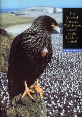 The Striated Caracara Phalcoboenus australis in the Falkland Islands