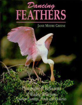 Dancing Feathers
