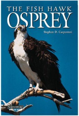 Osprey: The Fish Hawk