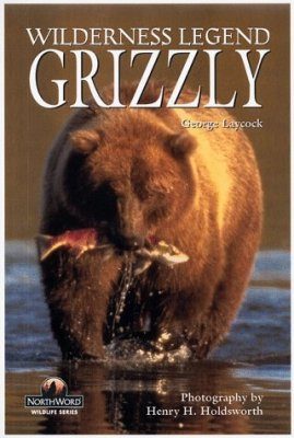 Wilderness Legend Grizzly