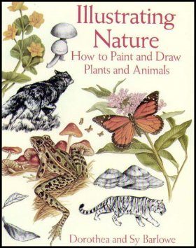 Illustrating Nature