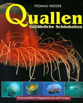 Quallen: Gefährliche Schönheiten