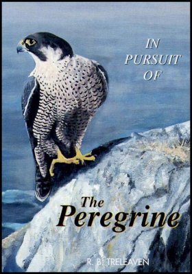 In Pursuit of the Peregrine