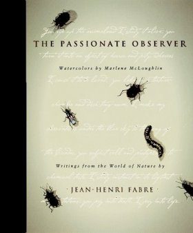 The Passionate Observer