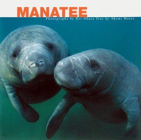 Manatee
