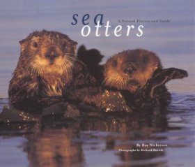 Sea Otters