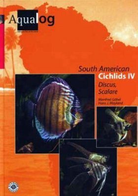 Southamerican Cichlids IV