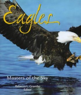 Eagles: Masters of the Sky