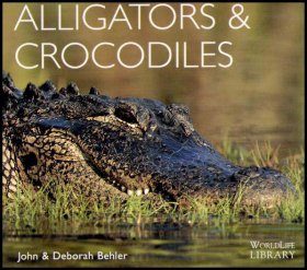 Alligators and Crocodiles