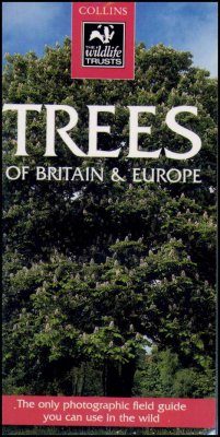 Collins Wildlife Trust Guide: Trees of Britain and Europe