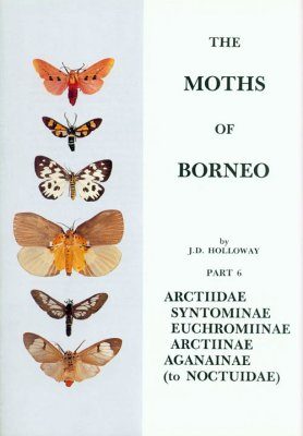The Moths of Borneo, Part 6
