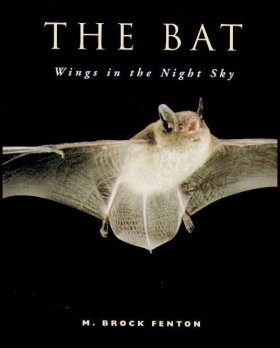 The Bat