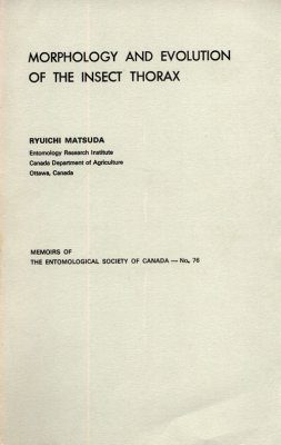 Morphology and Evolution of the Insect Thorax