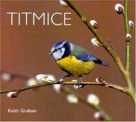 Titmice