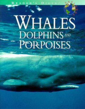 Whales, Dolphins and Porpoises